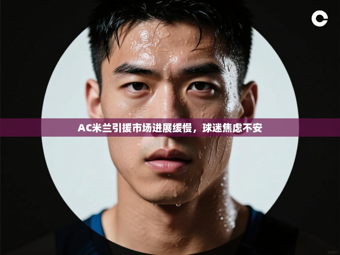 蓝鲸体育网页版入口-AC米兰引援市场进展缓慢,球迷焦虑不安  第1张