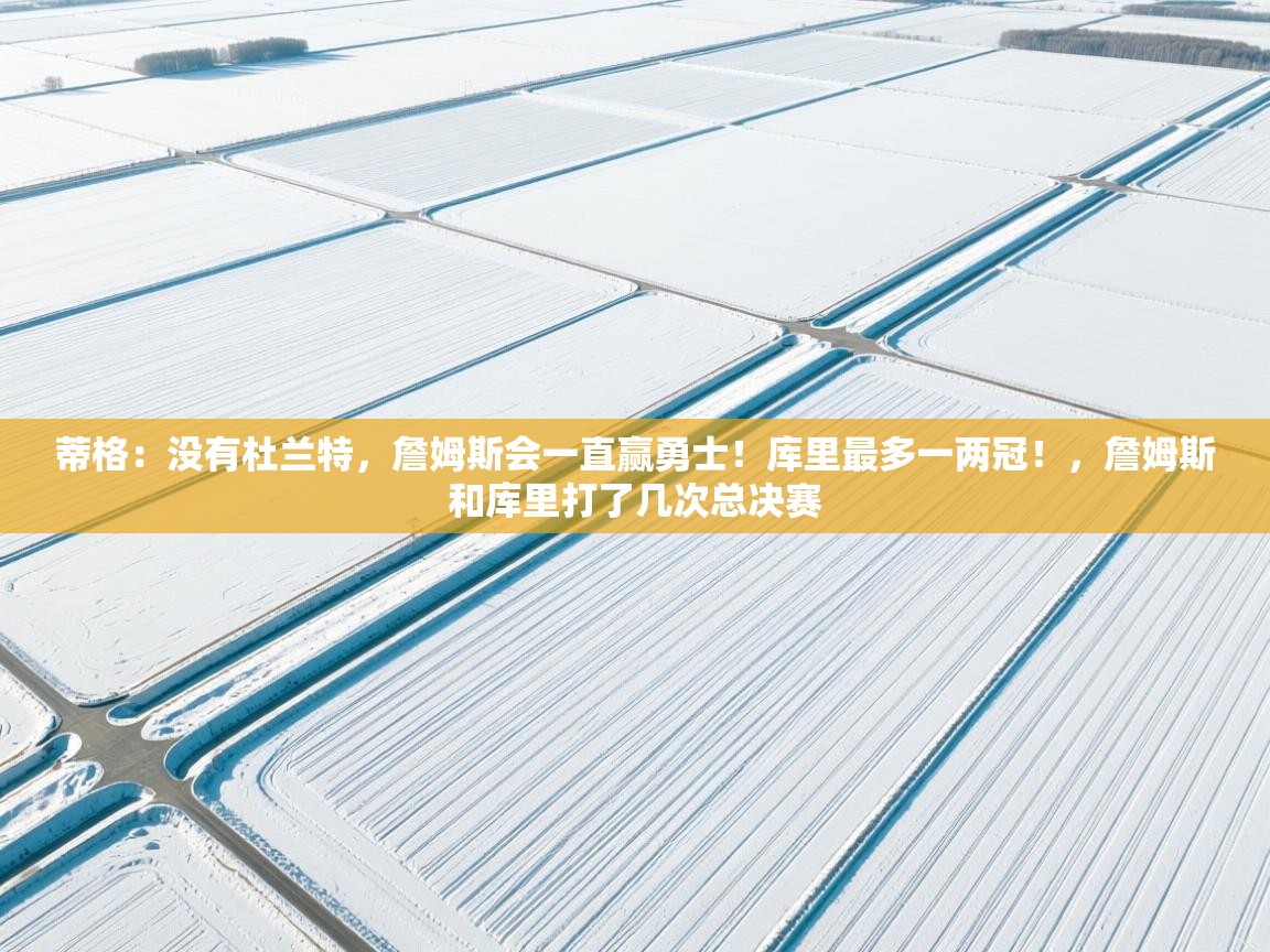 鲸蓝体育官网-蒂格：没有杜兰特，詹姆斯会一直赢勇士！库里最多一两冠！，詹姆斯和库里打了几次总决赛  第2张