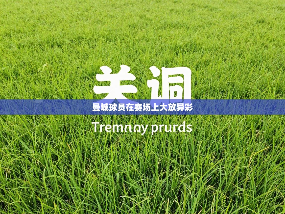 鲸蓝体育app-曼城球员在赛场上大放异彩  第2张